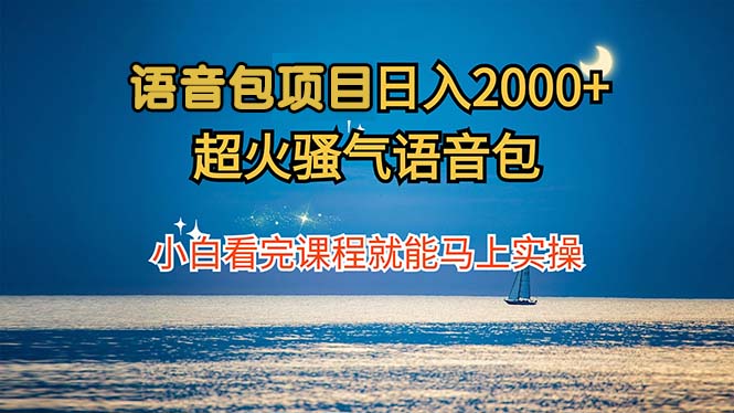 语音包项目 日入2000+ 超火骚气语音包小白看完课程就能马上实操-北漠网络