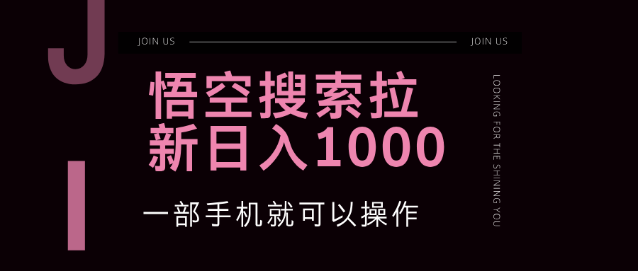 悟空搜索类拉新 蓝海项目 一部手机就可以操作 教程非常详细-北漠网络