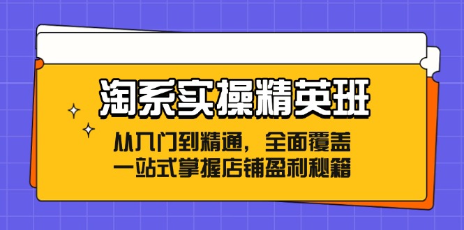 淘系实操精英班：从入门到精通，全面覆盖，一站式掌握店铺盈利秘籍-北漠网络