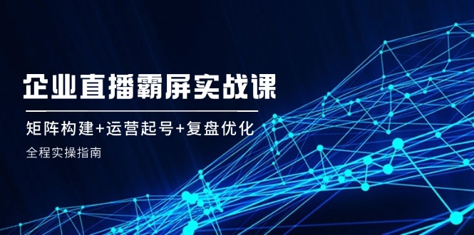 企业直播霸屏实战课：矩阵构建+运营起号+复盘优化，全程实操指南-北漠网络