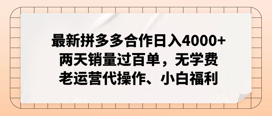 拼多多最新合作日入4000+两天销量过百单，无学费、老运营代操作、小白福利-北漠网络