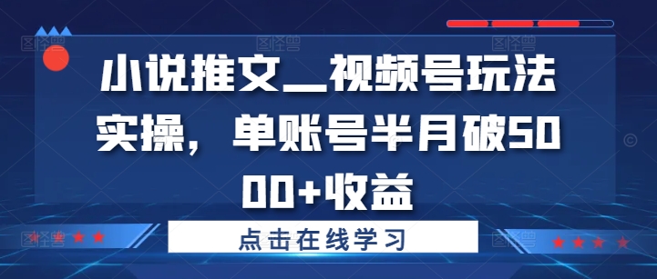 小说推文—视频号玩法实操，单账号半月破5000+收益-北漠网络