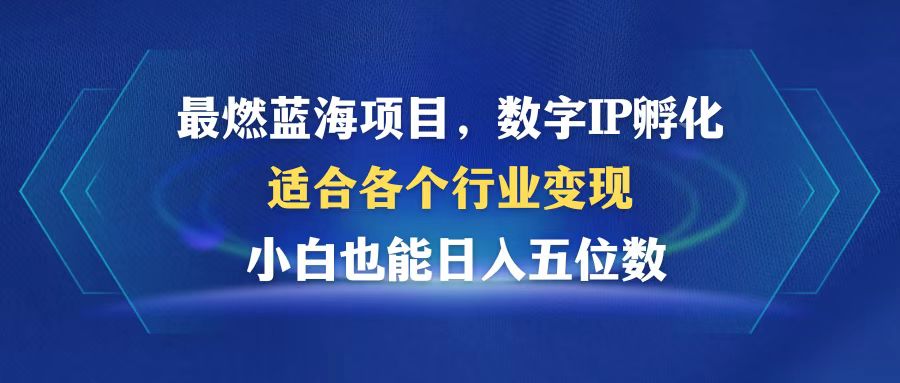 最燃蓝海项目  数字IP孵化  适合各个行业变现  小白也能日入5位数-北漠网络