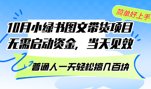 10月份小绿书图文带货项目 无需启动资金 当天见效 普通人一天轻松搞几百块-北漠网络