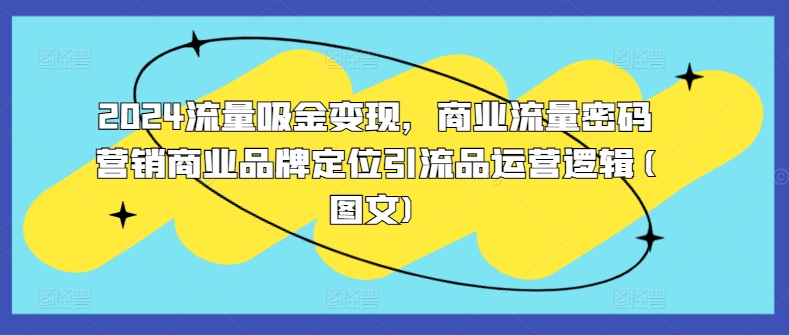 2024流量吸金变现，商业流量密码营销商业品牌定位引流品运营逻辑(图文)-北漠网络