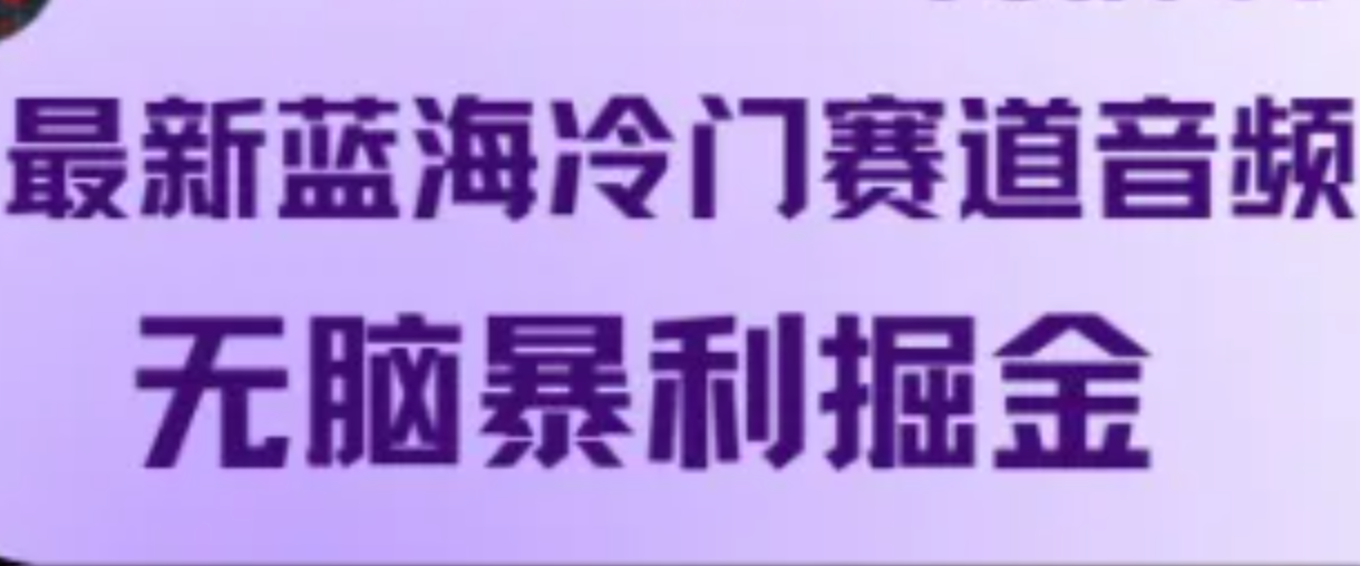 最新蓝海冷门赛道音频，无脑暴利掘金-北漠网络