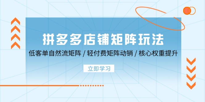 拼多多店铺矩阵玩法：低客单自然流矩阵 / 轻付费矩阵 动销 / 核心权重提升-北漠网络