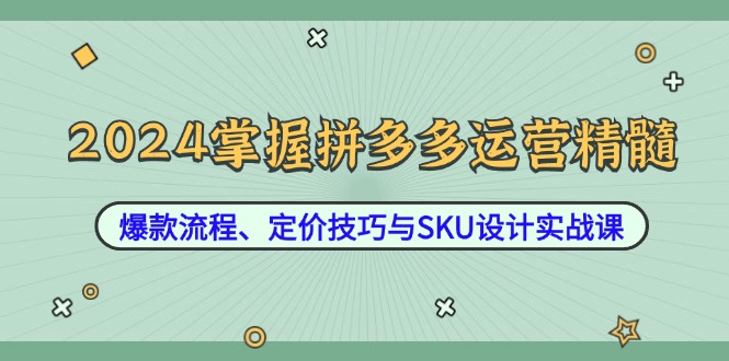 2024掌握拼多多运营精髓：爆款流程、定价技巧与SKU设计实战课-北漠网络