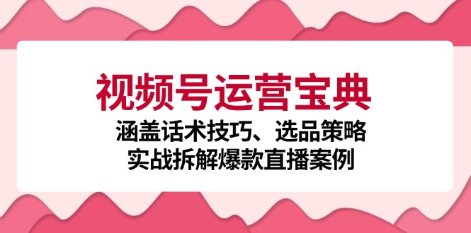 视频号运营宝典：涵盖话术技巧、选品策略、实战拆解爆款直播案例-北漠网络