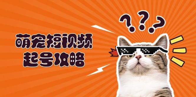 萌宠短视频起号攻略：定位搭建推流全解析，助力新手轻松打造爆款-北漠网络