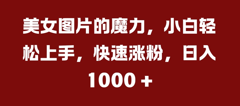 美女图片的魔力，小白轻松上手，快速涨粉，日入几张-北漠网络