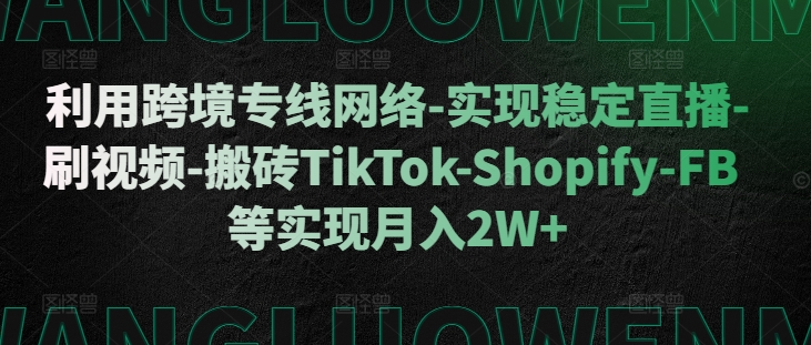 利用跨境专线网络-实现稳定直播-刷视频-搬砖TikTok-Shopify-FB等实现月入2W+-北漠网络