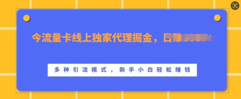 流量卡线上独家代理掘金，日入1k+ ，多种引流模式，新手小白轻松上手-北漠网络