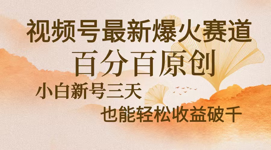 视频号最新爆火赛道，中老年粉深信不疑，百分百原创，新号三天收益轻松…-北漠网络