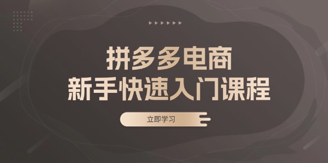 拼多多电商新手快速入门课程：涵盖基础、实战与选款，助力小白轻松上手-北漠网络