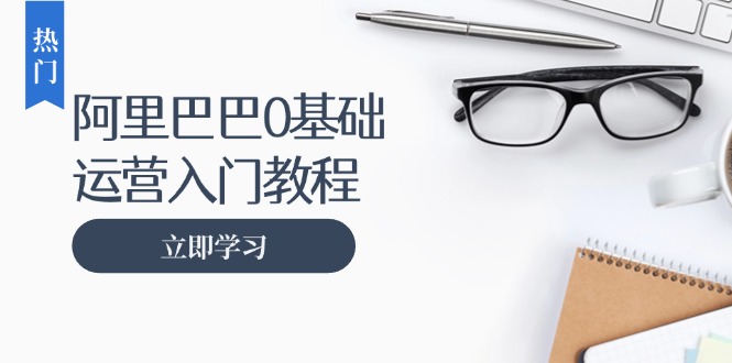 阿里巴巴运营零基础入门教程：涵盖开店、运营、推广，快速成为电商高手-北漠网络