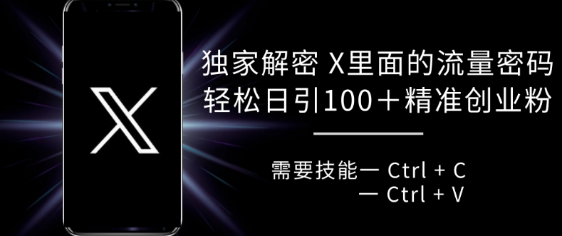 独家解密 X 里面的流量密码，复制粘贴轻松日引100+-北漠网络