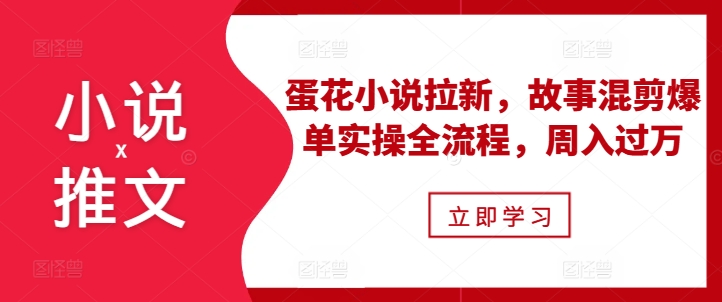 小说推广秘籍：蛋花小说拉新技巧，故事剪辑引爆销量，实现周入过万的全流程实操指南-北漠网络