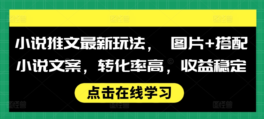 探索小说推广新策略：结合图片与文案，提升转化率，实现稳定收益-北漠网络