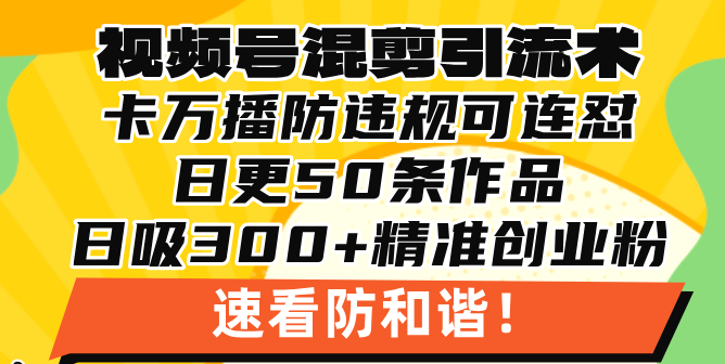 视频号混剪引流秘籍：实现500万播放量，吸引17000精准创业粉丝，快速上手指南-北漠网络