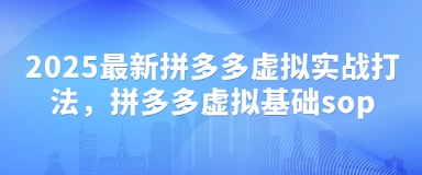 拼多多实战技巧课程