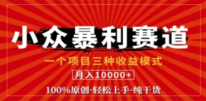 视频号最新爆火赛道，三种可收益模式，0粉新号条条原创条条热门 日入1000+-北漠网络