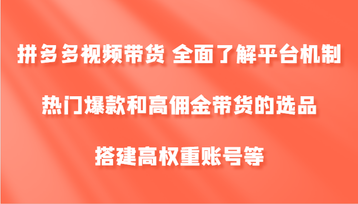 拼多多视频带货 全面了解平台机制、热门爆款和高佣金带货的选品，搭建高权重账号等-北漠网络