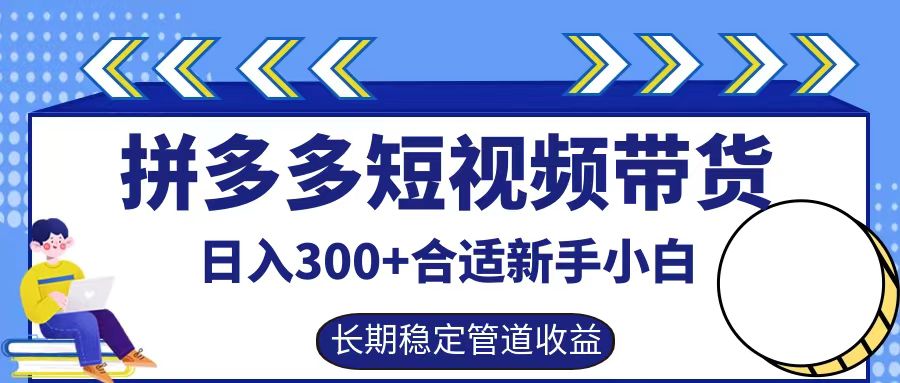 拼多多短视频带货日入300+，实操账户展示看就能学会-北漠网络