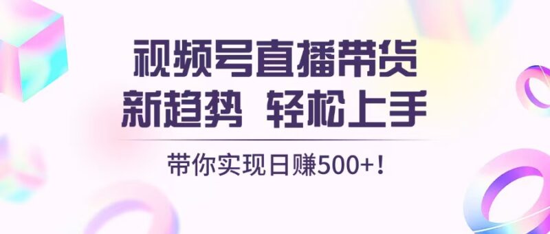 掌握视频号直播带货新动向，快速入门技巧，助你日入500+元-北漠网络