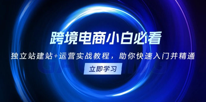 跨境电商新手指南：打造独立站与高效运营技巧，快速掌握电商行业核心知识-北漠网络