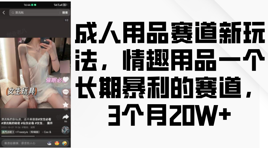 成人情趣用品市场新趋势：揭秘高利润赛道的快速增长秘诀，3个月实现20万+收益-北漠网络