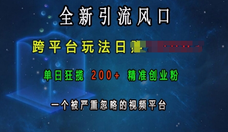 掌握视频营销新趋势：跨平台策略助你日赚数千，单日吸引200+高质量创业粉丝，揭秘被忽视的流量金矿-北漠网络