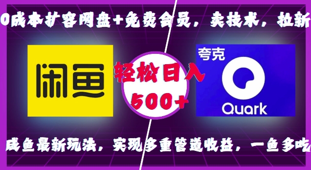 零成本网盘扩容技巧+免费会员获取，掌握最新技术，吸引新用户，咸鱼平台创新盈利模式，实现多元化收入渠道，高效利用资源，日赚500元以上-北漠网络