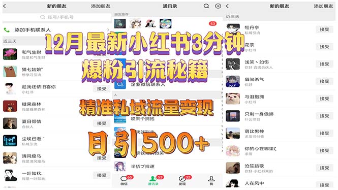12月小红书快速增粉技巧：3分钟掌握爆粉引流策略，实现精准私域流量高效变现，日增500+粉丝-北漠网络