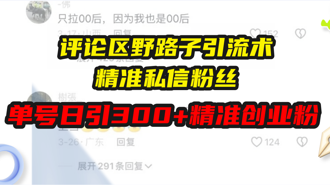 掌握野路子引流技巧：如何通过精准私信策略，实现单日300+高质量创业粉丝增长-北漠网络