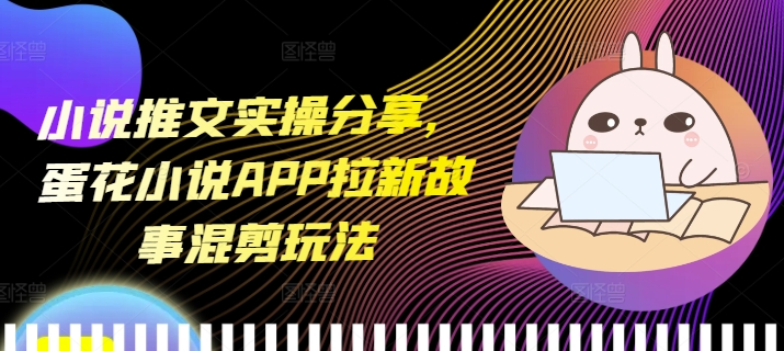 小说推广技巧揭秘：蛋花小说APP新用户增长策略与创意混剪视频营销技巧-北漠网络