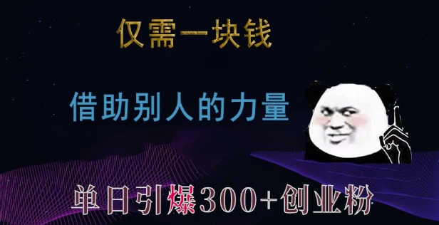 利用一元投资策略，快速吸引300+创业和兼职粉丝-北漠网络