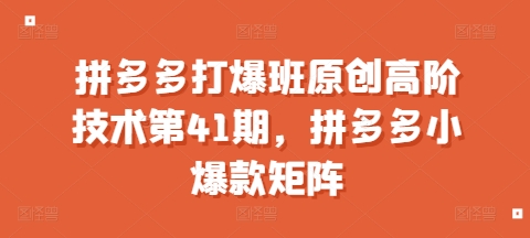 拼多多高阶技术教程：打造爆款商品的第41期课程，揭秘拼多多小爆款矩阵策略-北漠网络