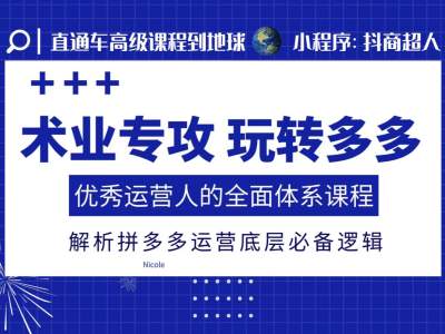 精通拼多多运营：打造高效运营策略的全面课程，深入解析平台运营核心逻辑-北漠网络