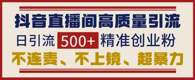 抖音直播间高效引流策略：无需连麦、不露面，日增500+精准创业粉丝，实现暴力增长-北漠网络