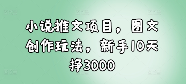 小说推广项目：图文创作技巧与策略，新手如何在10天内实现3000元收入-北漠网络