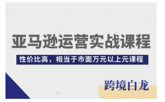 亚马逊运营全方位实战课程：从新手到专家的高效学习路径，性价比卓越，超越市面上万元级课程-北漠网络