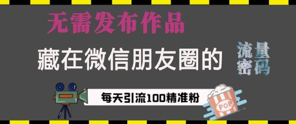 隐藏在微信朋友圈的流量秘诀：无需发布内容，每天轻松吸引100+精准创业粉丝-北漠网络