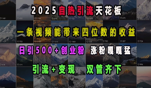 2025年自热引流新高度：单条视频实现四位数收益，引流变现双策略，日增500+创业粉丝，粉丝增长迅猛-北漠网络