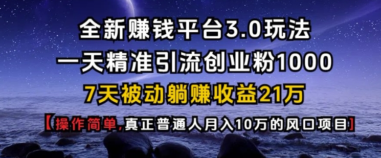 全新赚钱平台3.0：高效引流策略，日增1000精准创业粉丝，7天实现被动收入21万【独家揭秘】-北漠网络