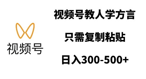 掌握方言速成技巧：视频号教学法，轻松复制粘贴，日赚丰厚收益-北漠网络