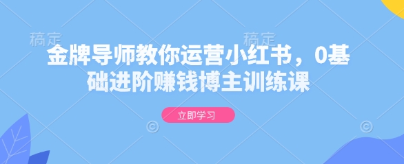 掌握小红书运营技巧：零基础到专业赚钱博主的全面训练课程-北漠网络