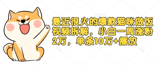 猫咪烹饪视频爆红网络，新手一周内粉丝激增2万，单条视频播放量突破10万+！（内含详细新手教程）-北漠网络