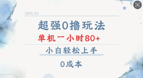 零成本高效赚钱技巧：轻松掌握数据录入，单台设备每小时收益超80元，新手也能快速上手【独家揭秘】-北漠网络
