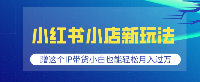 小红书店铺营销新策略：利用热门IP提升销量，新手也能快速实现月入过万-北漠网络